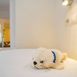 Σπίτι διακοπών One-bedroom Βέστερλαντ